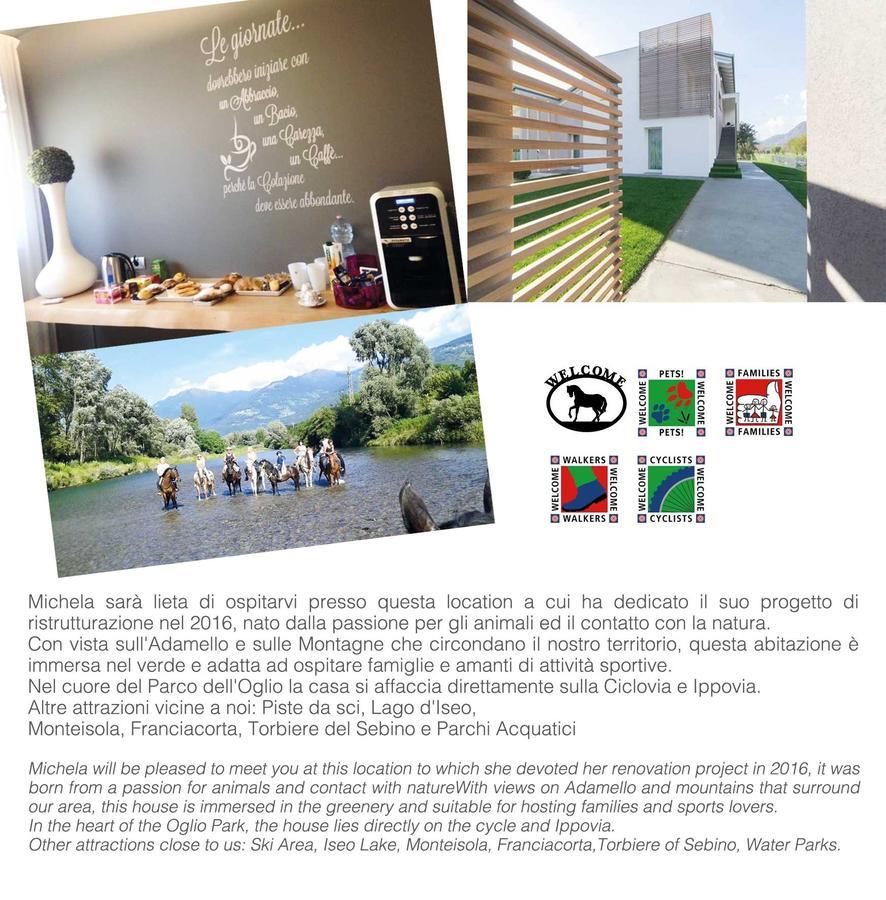 Art B&B Design Costa Volpino Ngoại thất bức ảnh
